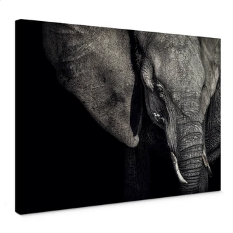 Tableau en toile Flour - Matriarche 