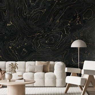Wall Mural Abstract Lines Black-gold - Amini 