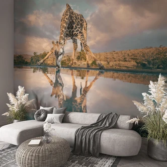 Fototapete Reflexion einer Giraffe in der Wildnis | Afrika Tapete - Amtmann 