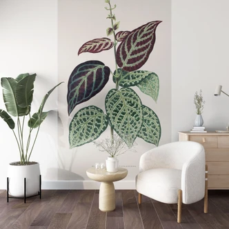 Fototapete Blatt Illustration - Bignonia Argyro Violascea 