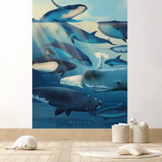 Fototapete Braun - Whales 