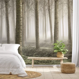 Fototapete Carozzi - Märchenhafter Wald im Morgennebel 