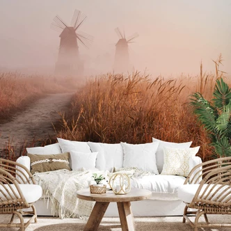 Fototapet Eom - Dimmig morgon - 480x260 cm 
