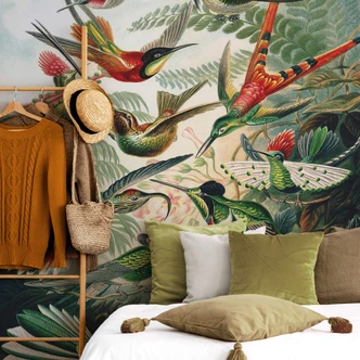 Fotobehang Haeckel - Kolibries 