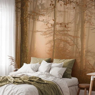 Wall Mural Forest wallpaper - mist and light in an autumnal forest - Maier 