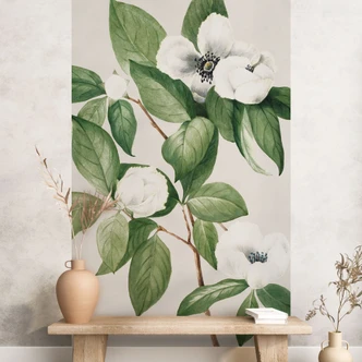 Fototapete Botanik Illustration einer Scheinkamelie - Walcott 