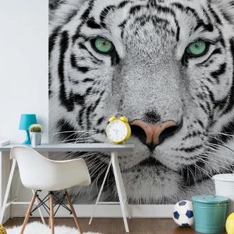 Sumatran Tiger - Wall Mural 