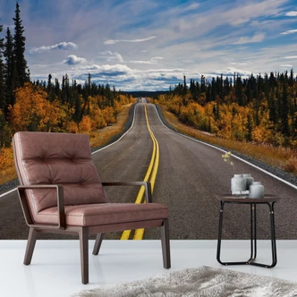 Fototapete Road Trip - 288x260 cm 