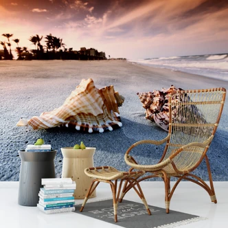Fototapete Muschelparadies - 336x260 cm 