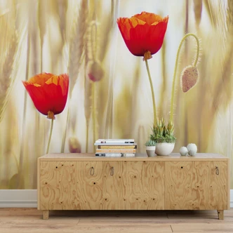 Poppies - Wall Mural 
