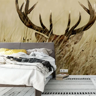 Watchful Deer - Wall Mural 
