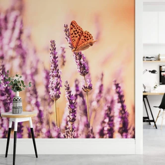 Fotobehang Colombo - Butterfly on Lavender Fotobehang Colombo - Butterfly on Lavender