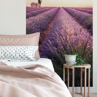 Fototapete Lavendula - 144x260 cm 