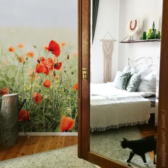 Fototapete Mohnblüte 