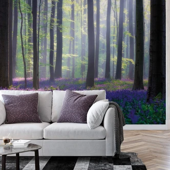 Fotobehang Popan - Hyacinthen 