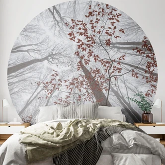 Tapet cirkel Trætoppe med røde blade - Coman - vliesetapet/selvklæbende non-woven tapet 