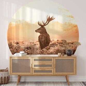 Fototapete Majestätischer Hirsch - Rund - Selbstklebend/Vlies 