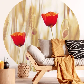 Fototapete Poppies - Rund - Selbstklebend/Vlies 