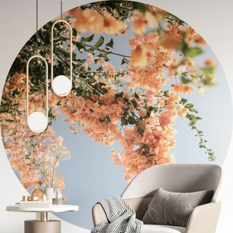 Fototapete Pfirsichfarbene Blüten in Assos - Shot by Clint - Rund - Selbstklebend/Vlies 