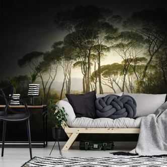 Fototapete Schirmkiefern mit Vignettierung 