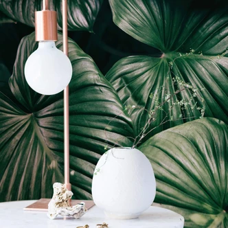 Fototapet Urban Jungle - Alokasie Calidora - 144x260 cm 