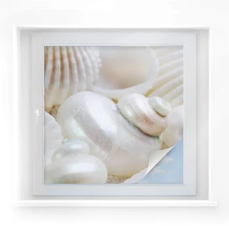 Film occultant - Nacre - carré 