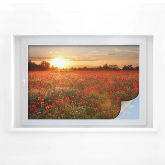 Window foil Poppies at Sunset Window foil Poppies at Sunset