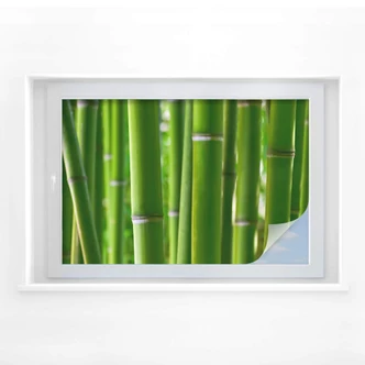 Sichtschutzfolie Bambuswald 