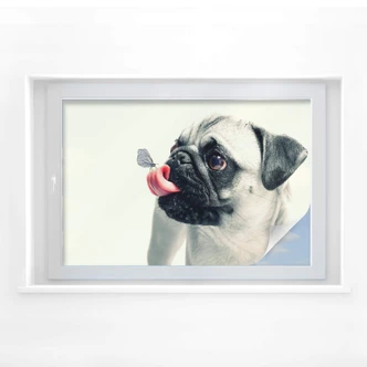 Sichtschutzfolie Tierische Zuneigung 