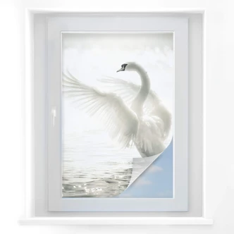 Window foil Majestic Swan 