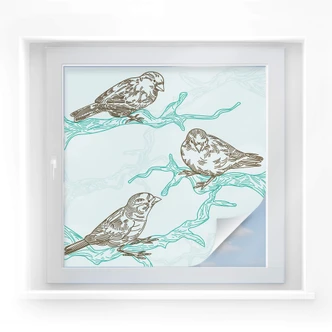 Pellicola adesiva per vetri - illustrazione passeri (quadrato) 