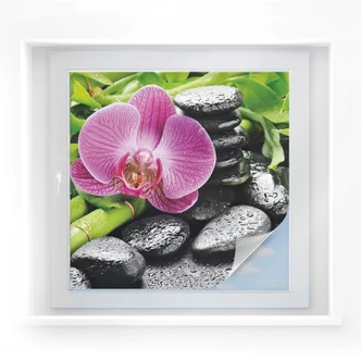 Window Foil Spa Concept – square 