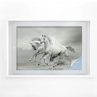 Window foil Horses 