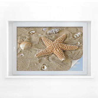 Sichtschutzfolie Patrick der Seestern Sichtschutzfolie Patrick der Seestern