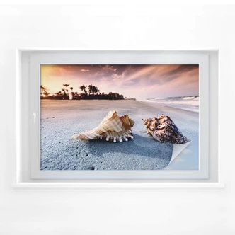 Sichtschutzfolie Muschelparadies Sichtschutzfolie Muschelparadies