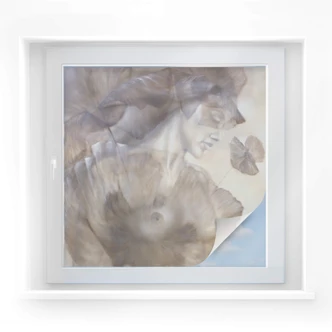 Window foil Schmucker – Naked Poppy 
