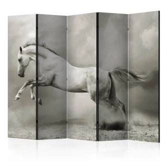 Kamerscherm - Wild paard , 5-delig - 225x172 cm 