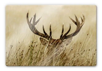 Glasschilderijen Waakzaam Hert 