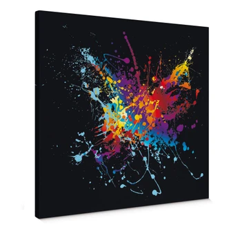 Colour Explosion Canvas print Colour Explosion Canvas print