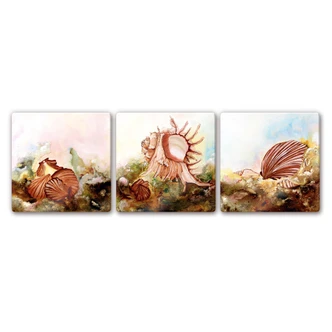 Sticker mural - Fedrau - Coquillage 02 (3 parties) 