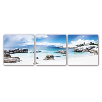 Western Cape Glass art (3 parts) 