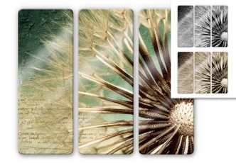 Tableau en verre - Pissentlit (3 parties) 