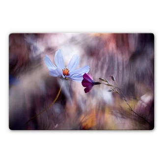 Glasschilderij Bravin - Rendezvous of Two Flowers Glasschilderij Bravin - Rendezvous of Two Flowers