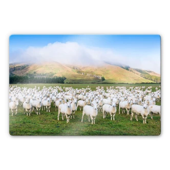 Tableau en verre Colombo - Troupeau de moutons Tableau en verre Colombo - Troupeau de moutons