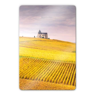 Glasbild Colombo - Weinfelder in der Champagne 