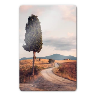 Glasschilderij Colombo - Cypress Road 