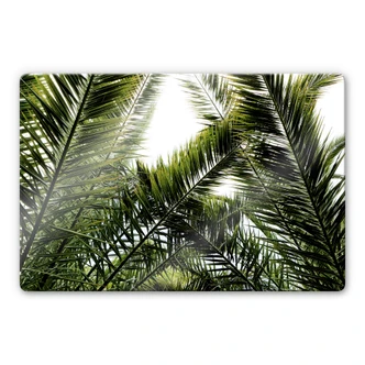 Glass Print Palm Trees 