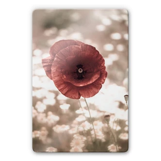 Glasschilderij Delgado - Klaprozen Portret 