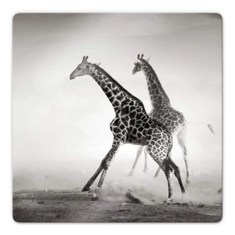 Glasbild Die Flucht - quadratisch 