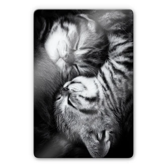 Jancova - Sweet Kitten Glass art 